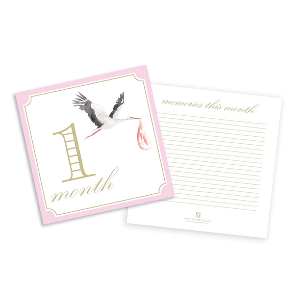 12 Month Milestone Cards - Pink