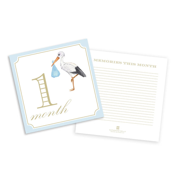 12 Month Milestone Cards - Blue